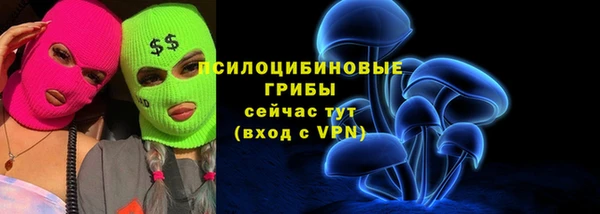 соль ск Краснотурьинск