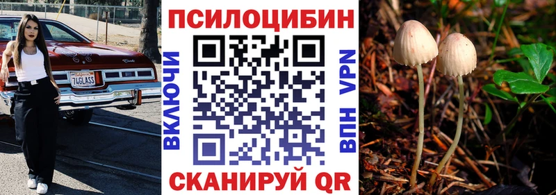Купить закладки  Гуково  Галлюциногенные грибы Psilocybine cubensis 