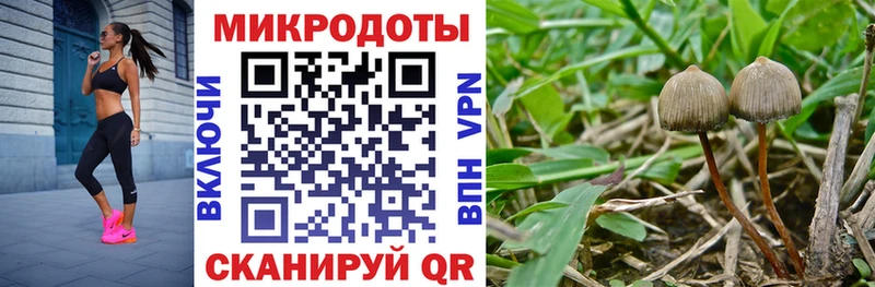 Псилоцибиновые грибы ЛСД Гуково